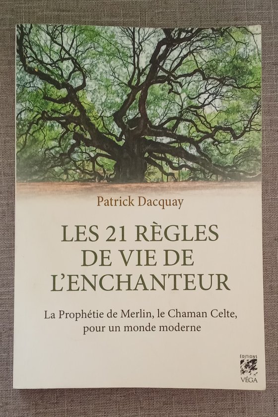 Couverture du livre Les 21 règles de vie de l'enchanteur